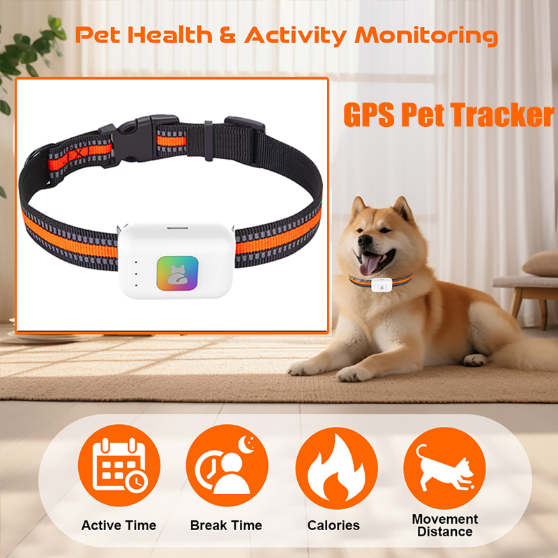 Pet GPS AGPS Tracking Device 4 - Pet Supplies Direct ulasan dan harga