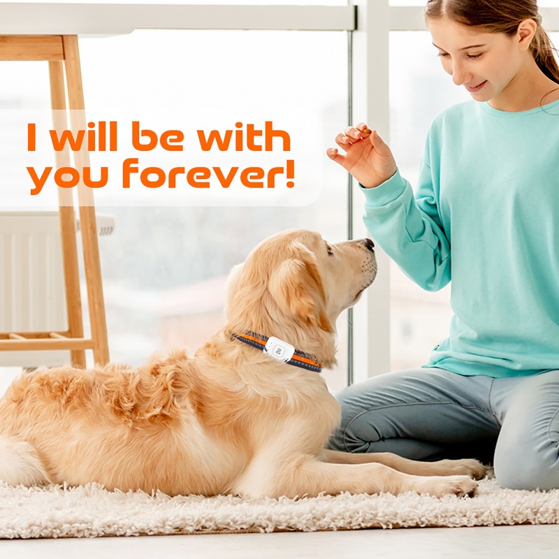 Pet GPS AGPS Tracking Device 4 - Pet Supplies Direct ulasan dan harga