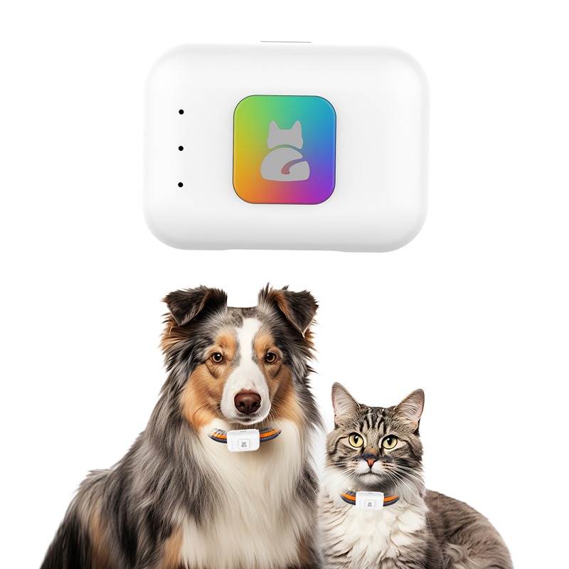 Pet GPS AGPS Tracking Device 4 - Pet Supplies Direct ulasan dan harga