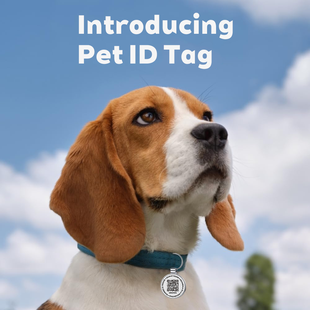 QR ID Pet Tag, Metal Dog Tag w - Pet Supplies Online ulasan dan harga