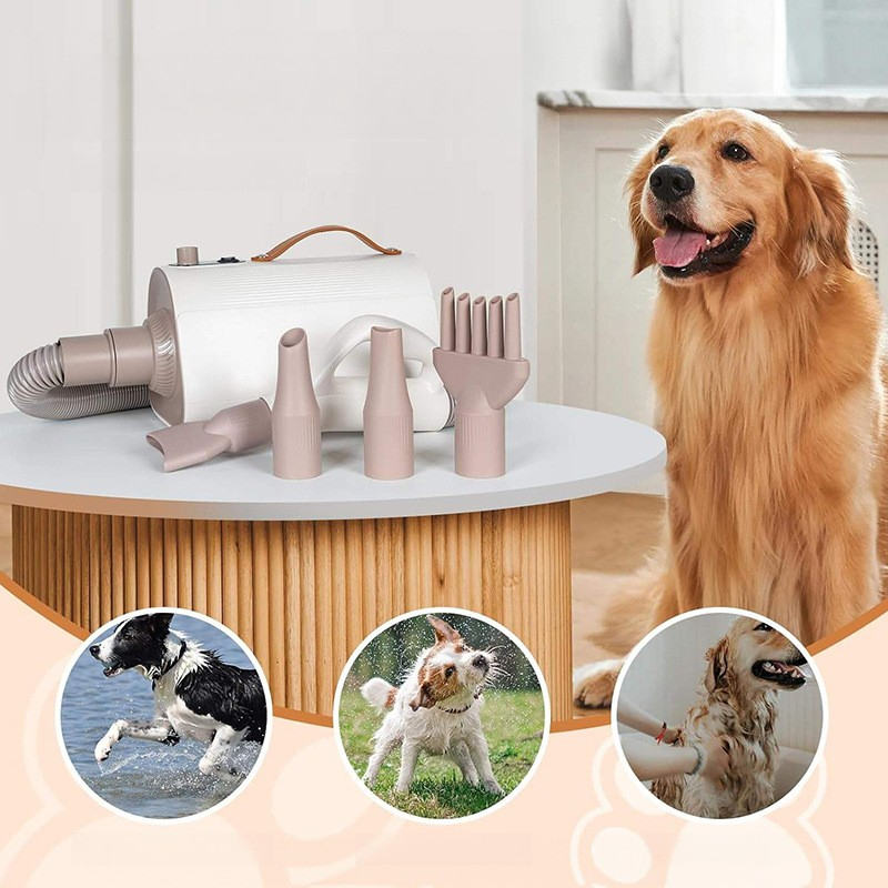 Pet Hair Dryer Low Noise Multi - Pet Supplies For Less ulasan dan harga