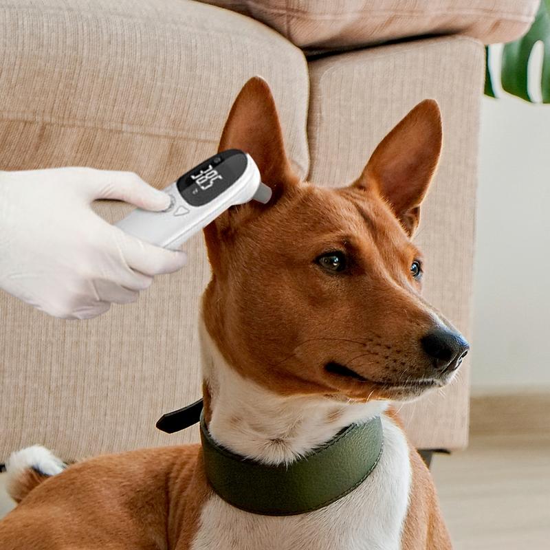 Pet Thermometers For Dogs Vet  - Pet Supplies Vet ulasan dan harga