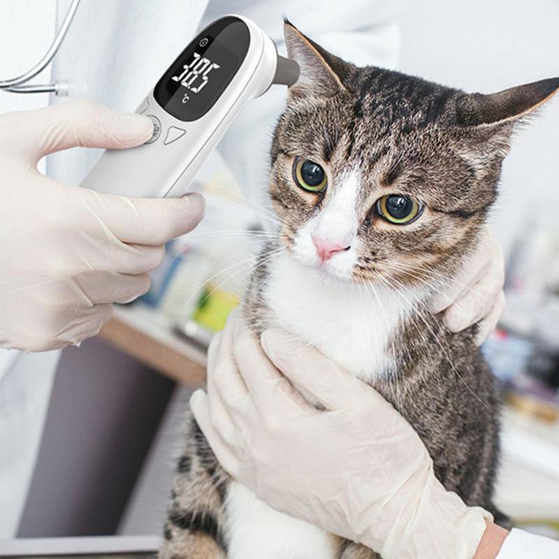 Pet Thermometers For Dogs Vet  - Pet Supplies Vet ulasan dan harga