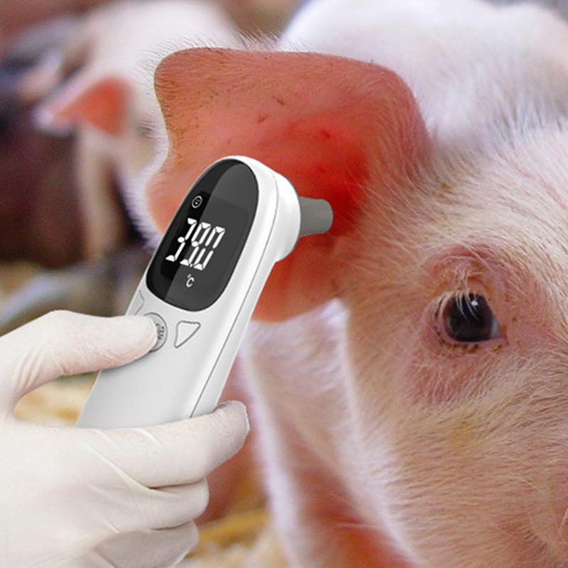 Pet Thermometers For Dogs Vet  - Pet Supplies Vet ulasan dan harga