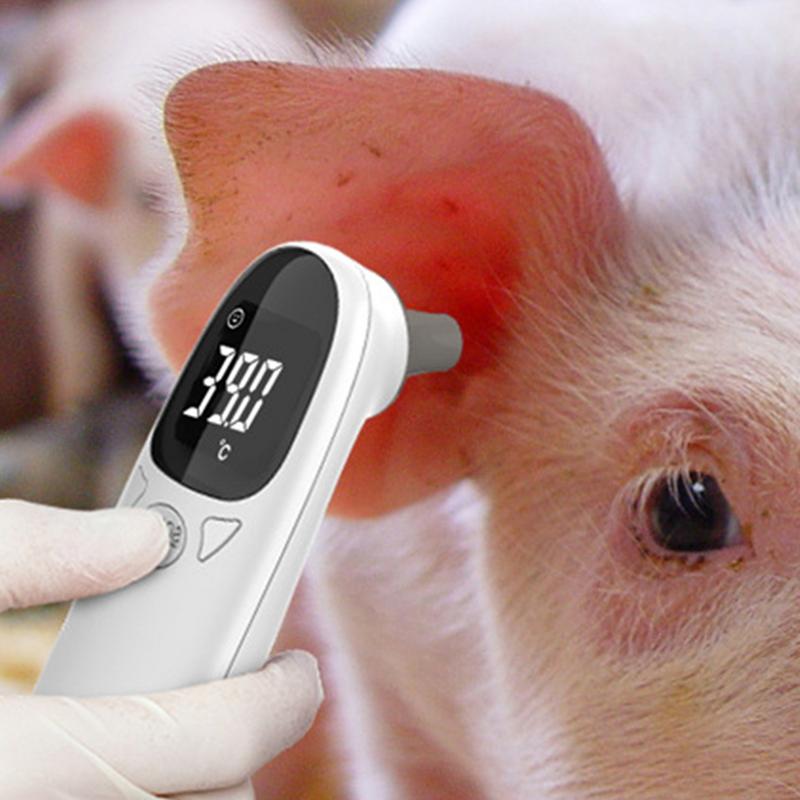 Pet Thermometers For Dogs Vet  - Pet Supplies Vet ulasan dan harga