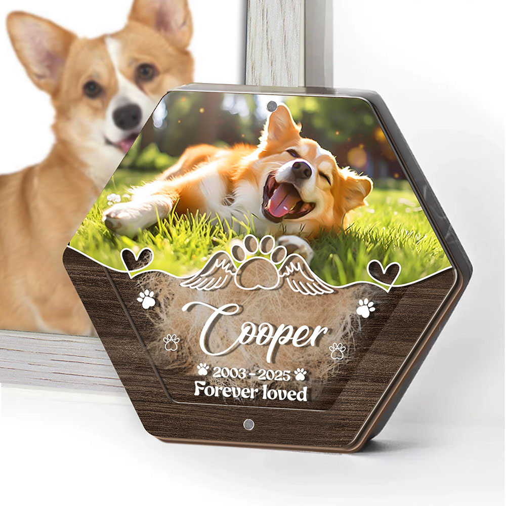 Personalized Name Wooden Carvi - Pet Supplies Store ulasan dan harga