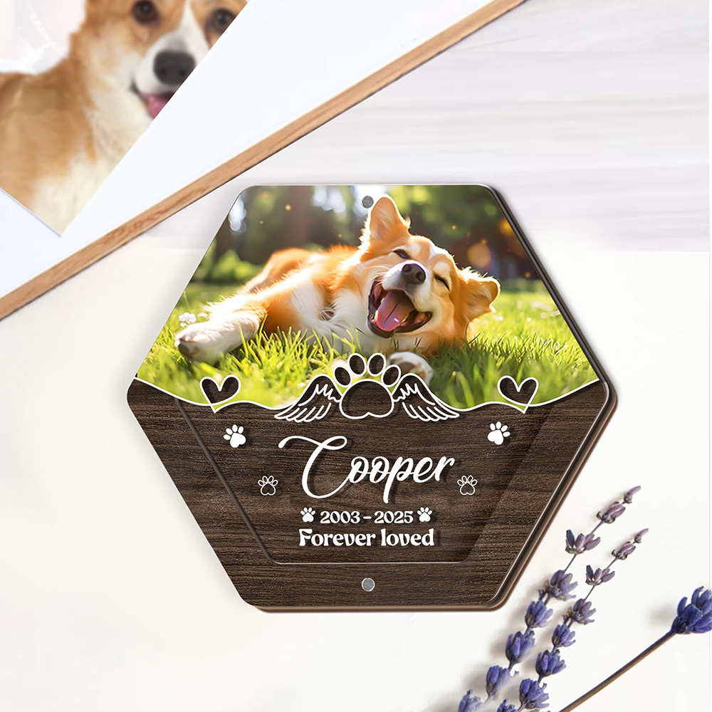 Personalized Name Wooden Carvi - Pet Supplies Store ulasan dan harga