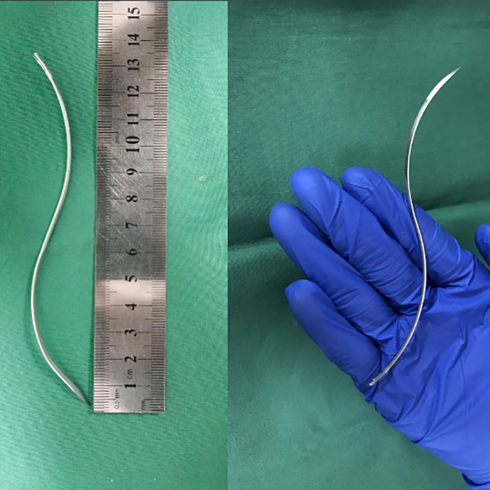 Animal S-shaped Suture Needle  - Pet Supplies Vet ulasan dan harga
