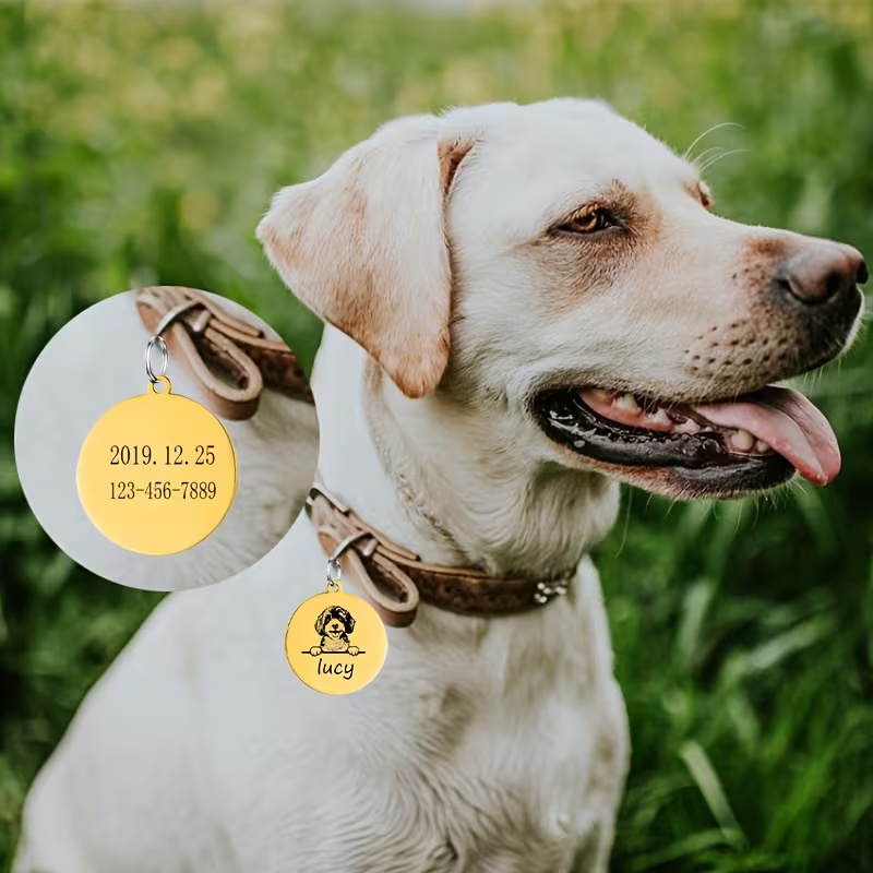Custom Pet Name Puppy Anti-los - Pet Supplies Direct ulasan dan harga