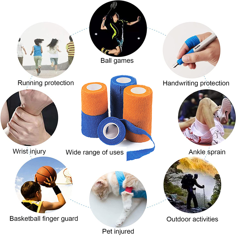 Pexmen 6Colors Self Adhesive B - Pet Supplies Vet ulasan dan harga