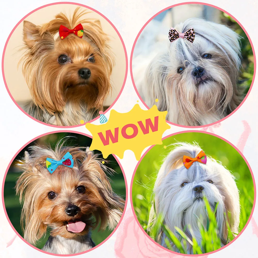50PCS Dog Bows With Rubber Ban - Pet Supplies In Bulk ulasan dan harga